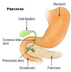 You can normally live without a Gallbladder